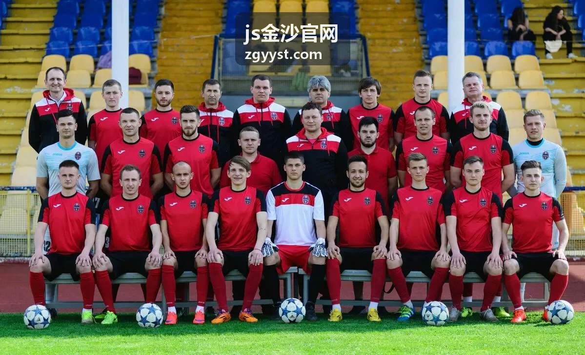 js金沙官网会员权益与服务实例
